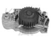 AUTOTEAM WPA078 Water Pump